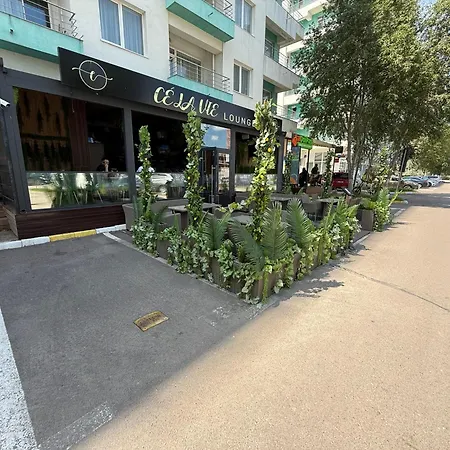 Mareblu Summerland * Mamaia